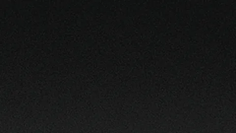 复旦大学勇夺上海市学运会跆拳道项目两金一银两铜及团体总分第四佳绩